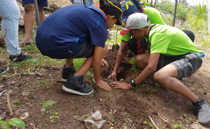 Plant Today, Peace for Decades