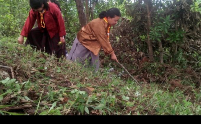 Social Forestry Day