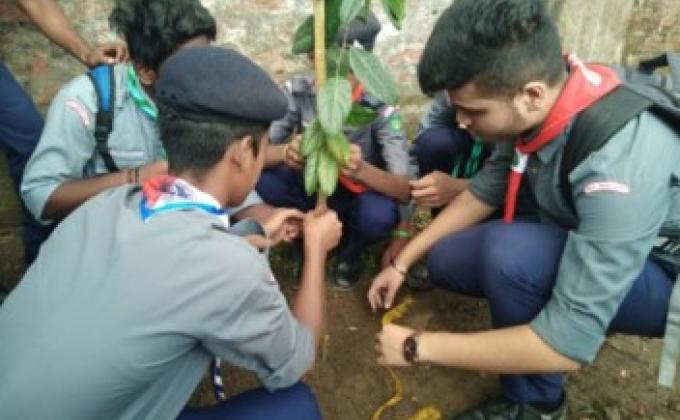 Tree Plantation and Swatcha Bharat 