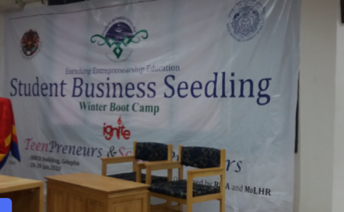 Student Business Seedling