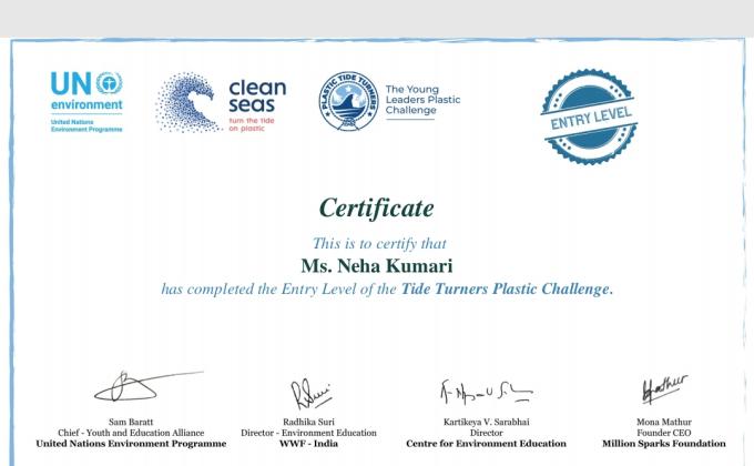 Environment & Sustainability- challenge 2#Plastic tide turners challenge