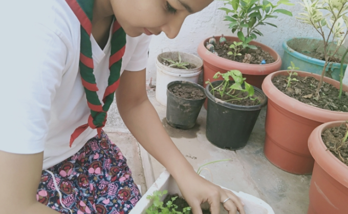 Goorganic