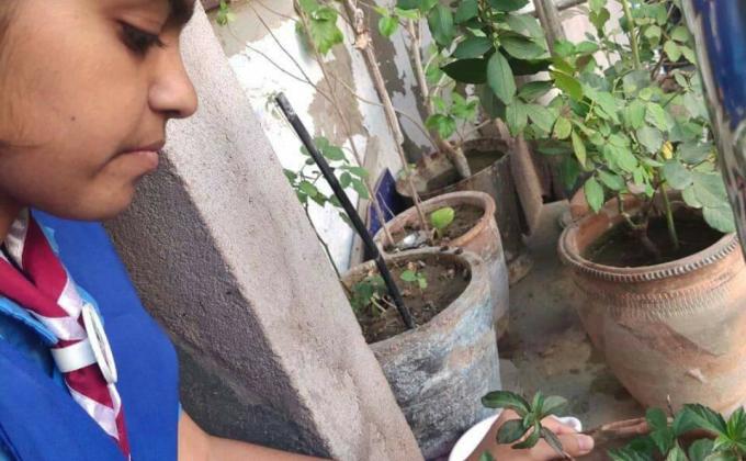 #Project Sankalp
[B] Environment and Sustainability