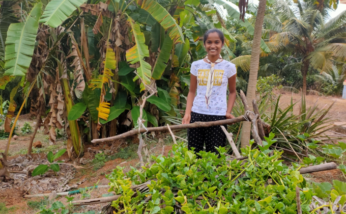 Challenge B- Go organic