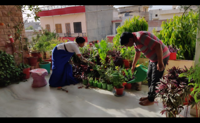  बागवानी BS&G, DHQ-Jodhpur, Rajasthan, india