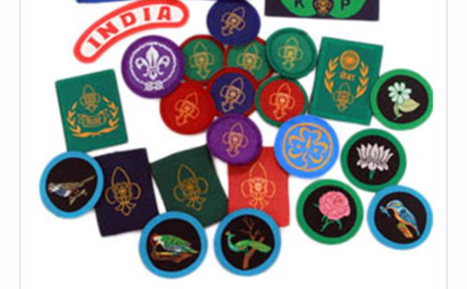 PROJECT-SANKALP, GROUP (D) DIGITAL SCOUTING & GUIDING, CHALLENGE 1-#"BSG WEBSITE",BS&G, INDIA