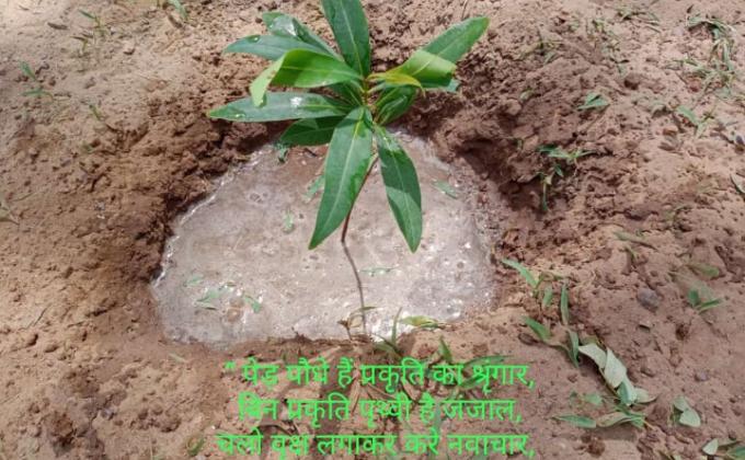 Project- sankalp group (B)-"GOORGANIC" BS&G D.H. Q. JODHPUR, RAJASTHAN, INDIA