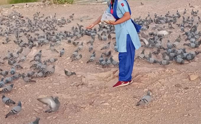 पशु पक्षियों हेतु पानी की व्यवस्था करना तथा पेड़ पौधों की देखभाल करने का कार्य#BSG DHQ,JODHPUR, RAJASTHAN