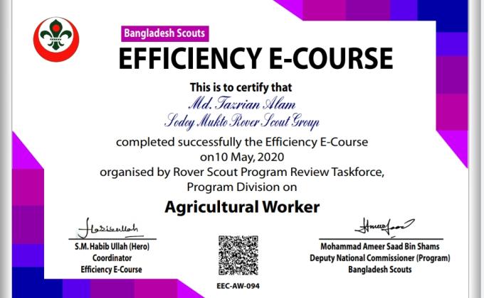 দক্ষতা অর্জনে ই- কোর্স