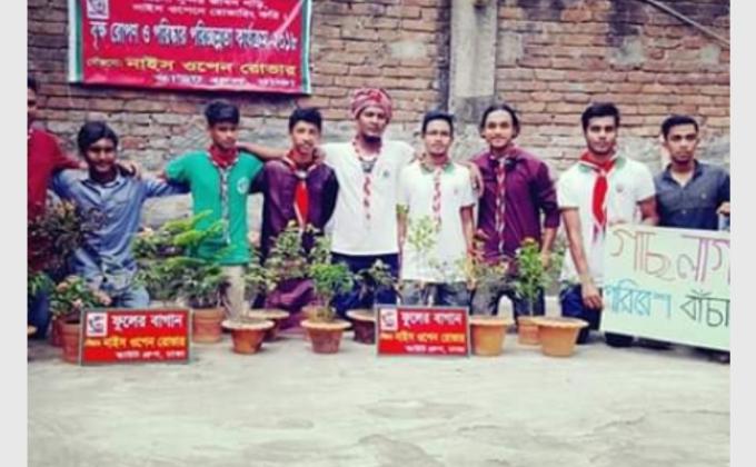 Tree planting