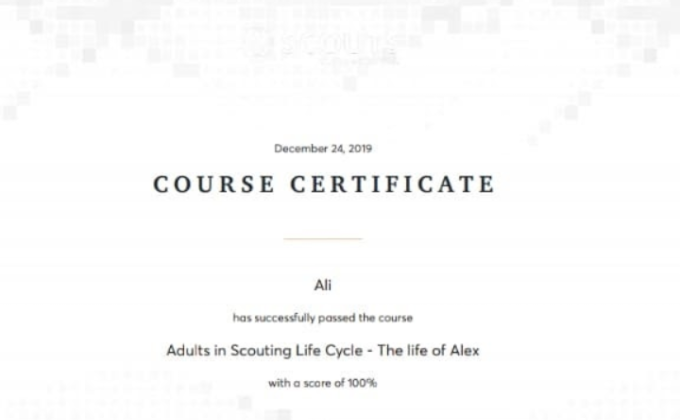 Adult in scouting life cycle - the life of alex