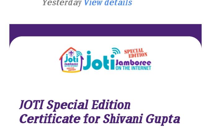 point D digital scouting guiding  , challenge 1. special joti