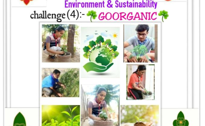  sankalp project challenge  (B) environment & sustainabilty  challenge 3:- #goorganic