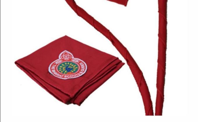 SANKALP PROJECT >(D) Digital Scouting Guiding >Challenge (1):- #BSG india 