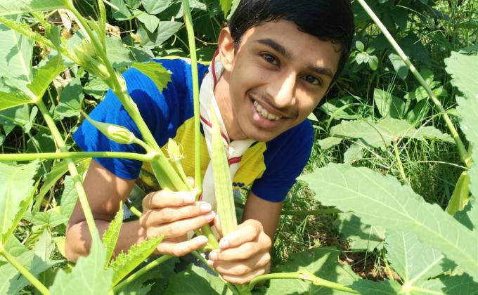 Challenge B - Go organic