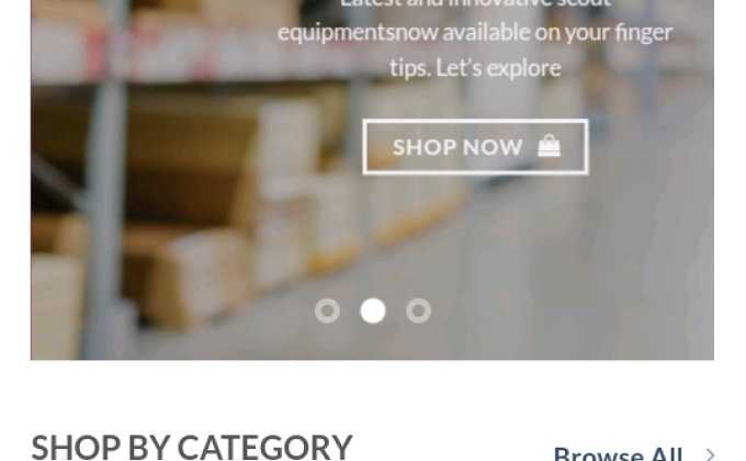 Digital scouting guiding BSG website