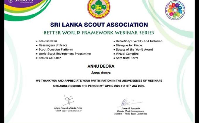 International Webiners" #Better World Framework Series