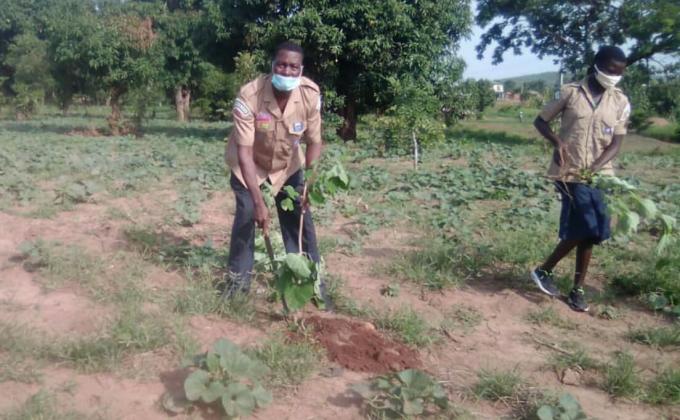 Journée Nationale de l'Arbre au Togo