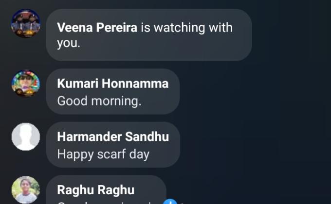 scou scarf day and sunrise day: re visit brownsea island 