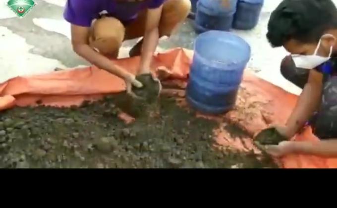 Tree  plantation on rooftops.