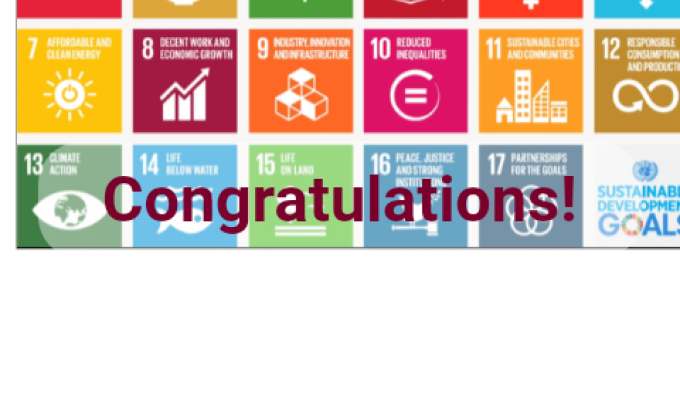 Solving SDG'S Puzzle.