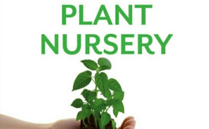 PLANTESION TO PROTECT THE EARTH