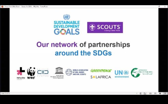 Sustainable Development Goals: Webinar