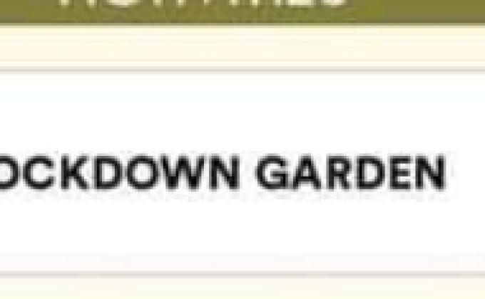 Sankalp project, Activity-5(Lockdown Garden)