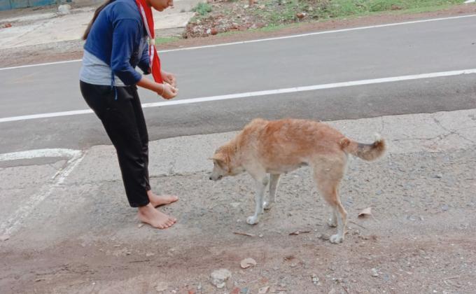 पक्षियों के मित्र