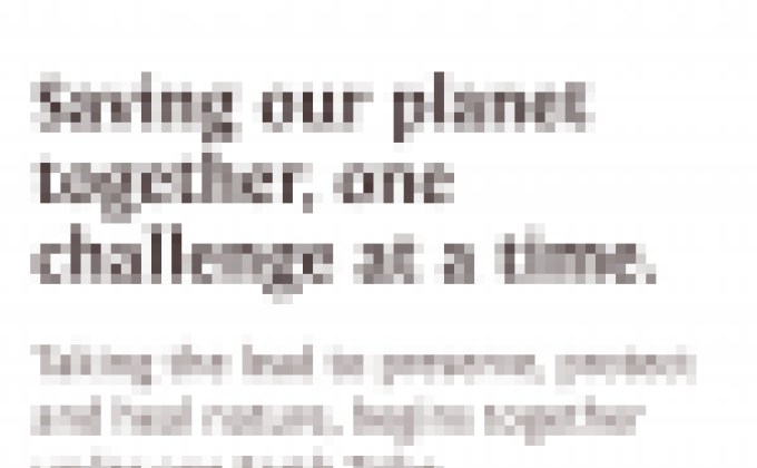 World Scout Environment Program (earth tribe)