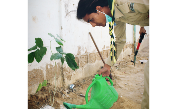 Tree Planting