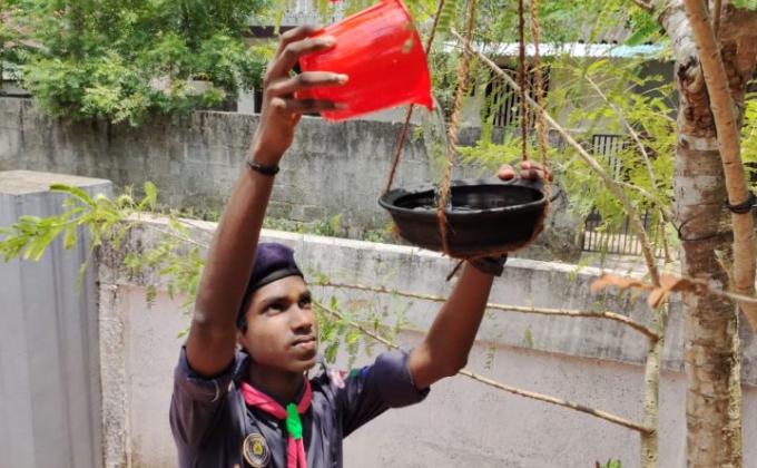 "A clay pot for living things"
