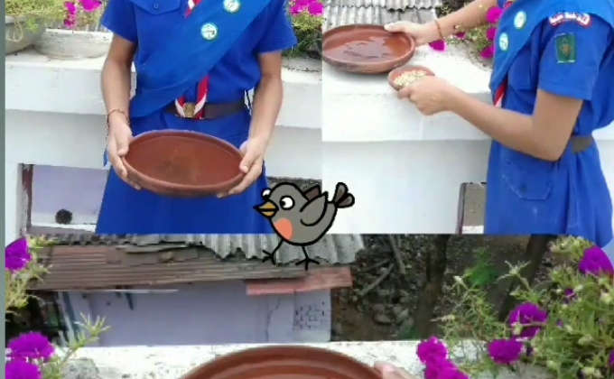 Frendship with Birds 