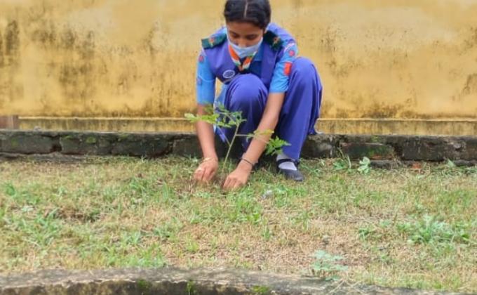 celebration of environmental day