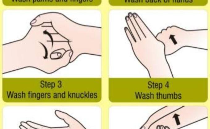 6 Steps of handwashing