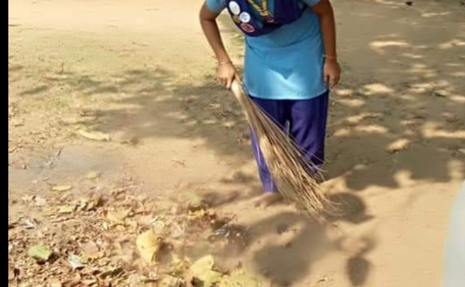 Clean India Green India 