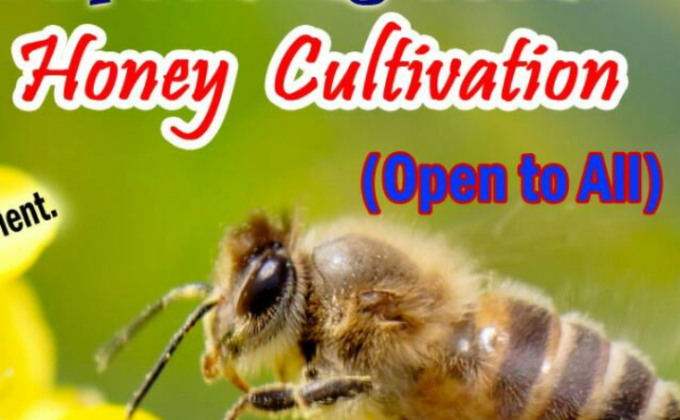 Honey Cultivation