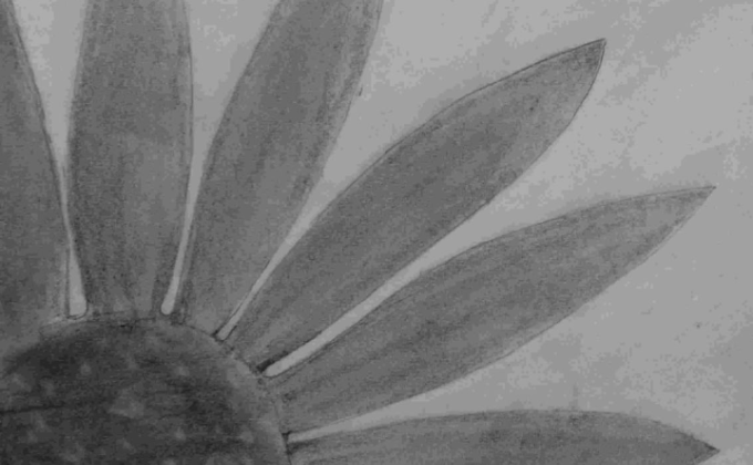 SANKALP 2.0 ACTIVITY -10