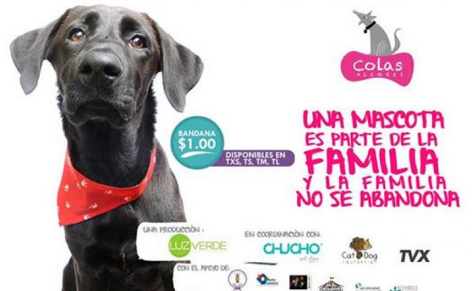 Colas Alegres