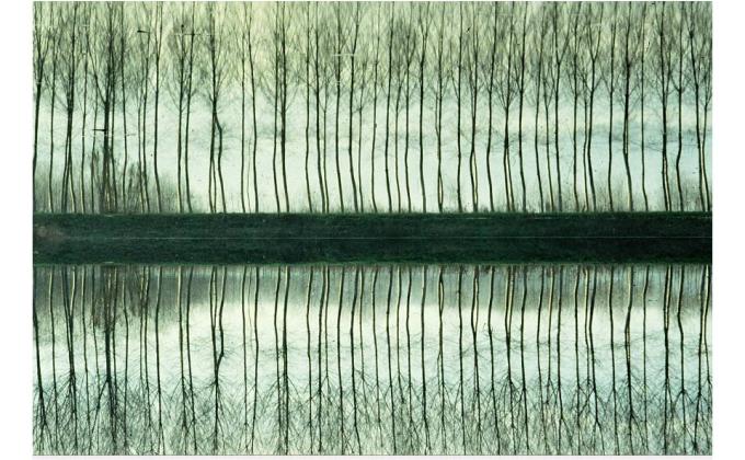 FROM WEDLANDS DAY FEBRUARY 2 TO WORLD WATER DAY 22 MARCH WATER WETLAND GAMES 