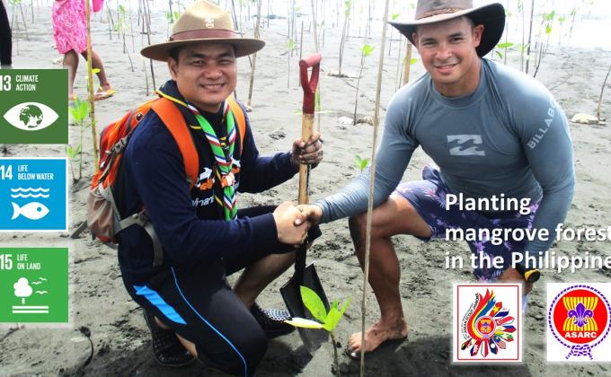 Planting the mangrove trees at the beach of Davao, The Philippines