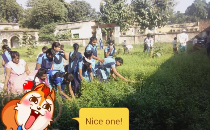 sanitation work
