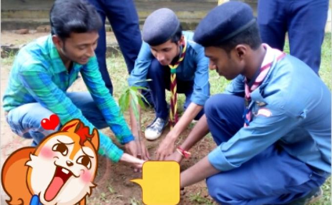 Tree plantation in our school