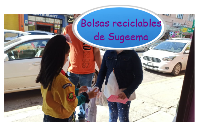 Bolsas reciclables de Sugeema