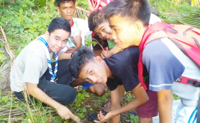 Tree Planting