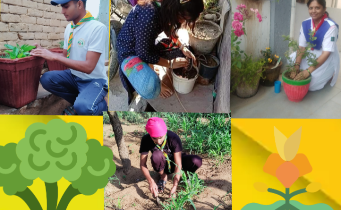 SANKALP PROJECT Section B# Environment and sustainability Challenge 4 th Goorganic