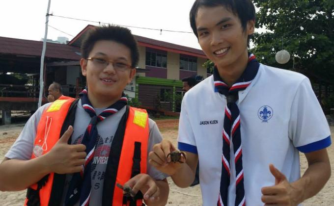 Hawkbill Turtles release