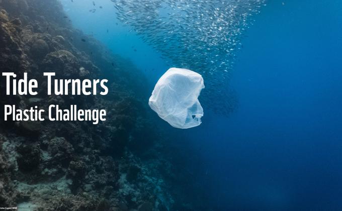 Plastic Tide Turners challenge 