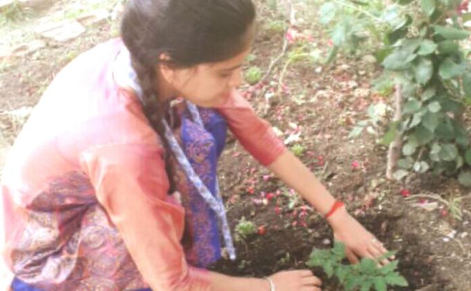 grow organic