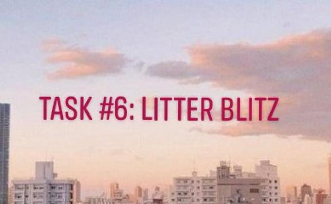 Litter Blitz